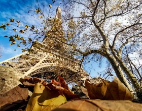 Illuminated Eiffel Tower seen from the Trocadero
